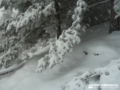 Valle de Iruelas - Pozo de nieve - Cerro de la Encinilla;senderismo andalucia senderismo aragon